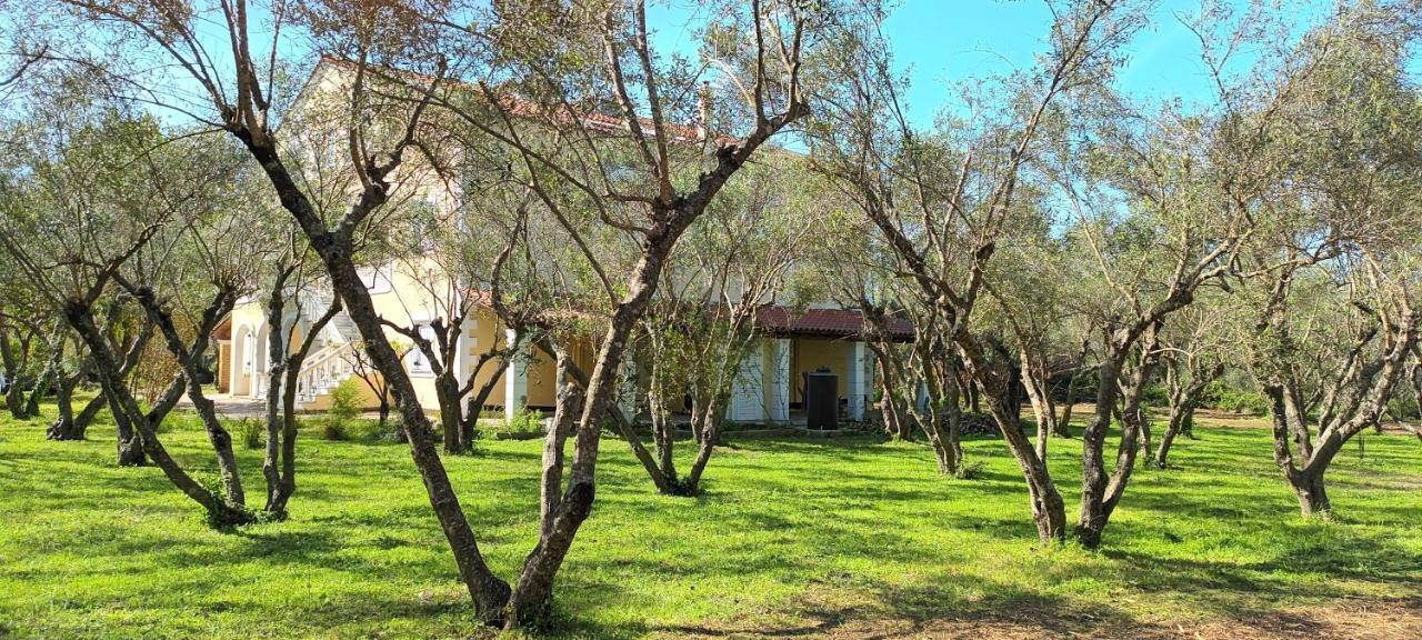 Antonios Olive Garden Acharavi Kerkyra 아파트 외부 사진
