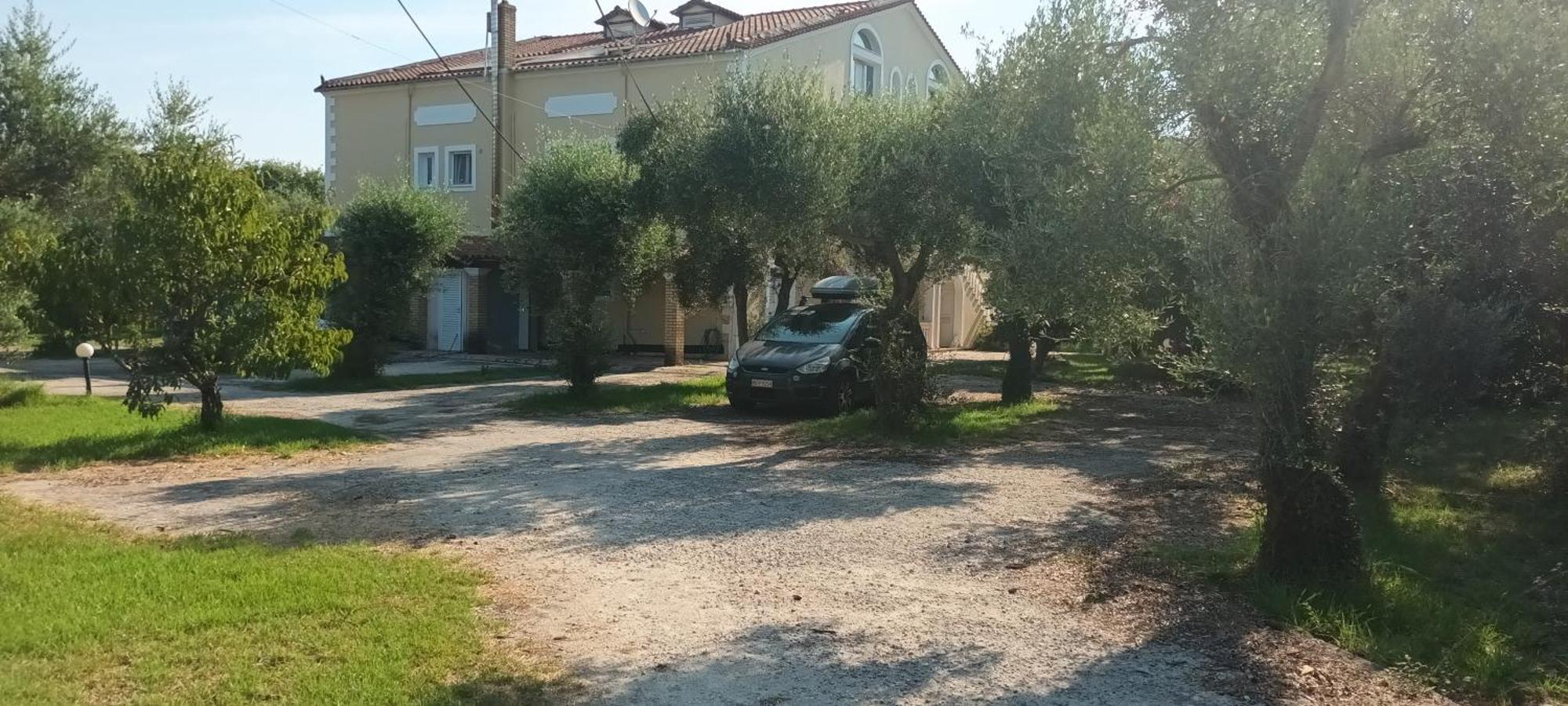 Antonios Olive Garden Acharavi Kerkyra 아파트 외부 사진